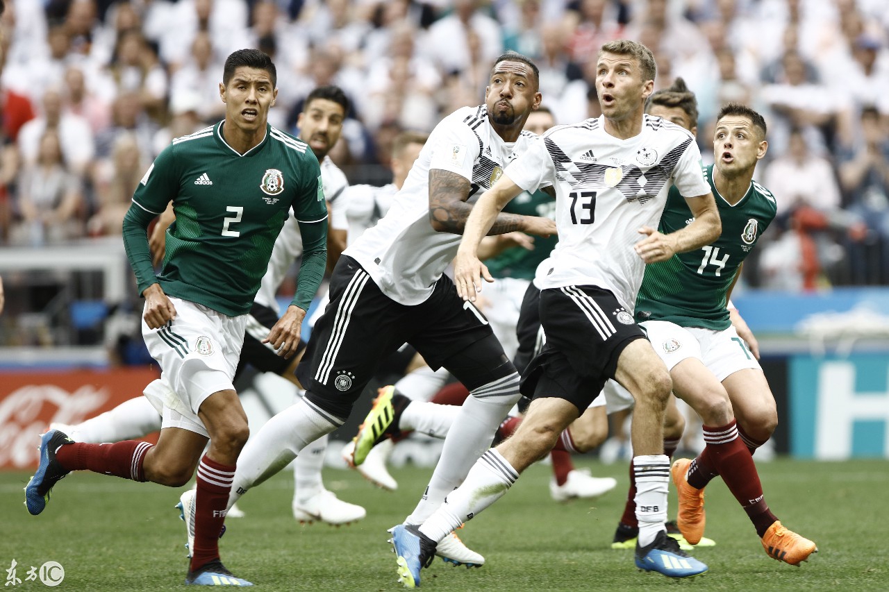 mk体育官网孟菲斯灰熊训练开放日，今晚遗憾出局引欢呼，德国杯在即，临场指挥获称赞的简单介绍